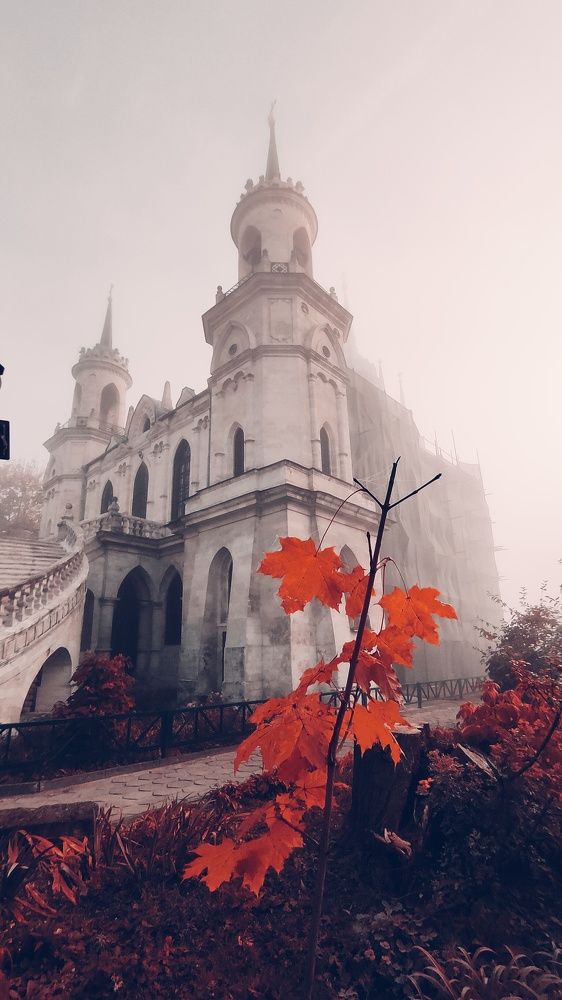 Photograph by Артем Воробьев