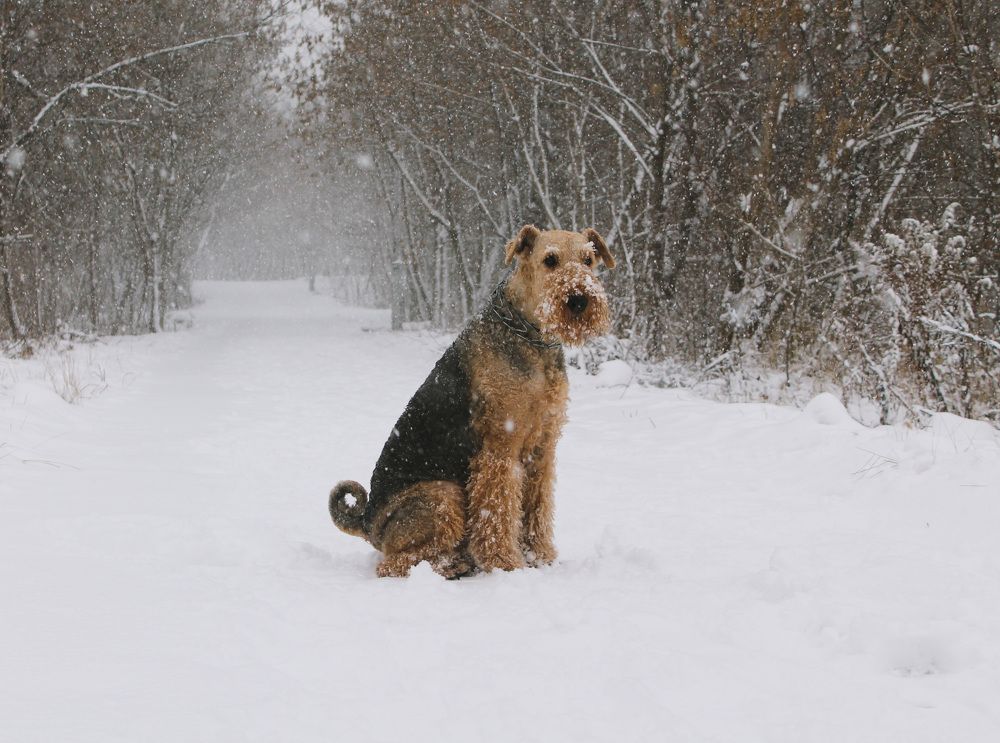 Photograph by Матвей Короткин