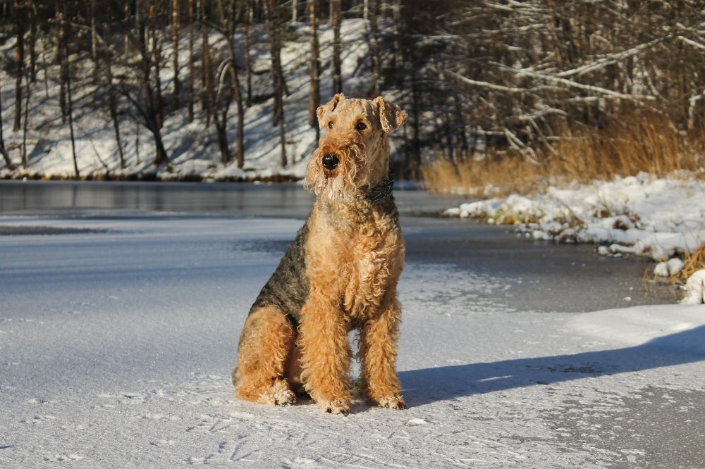 Photograph by Матвей Короткин