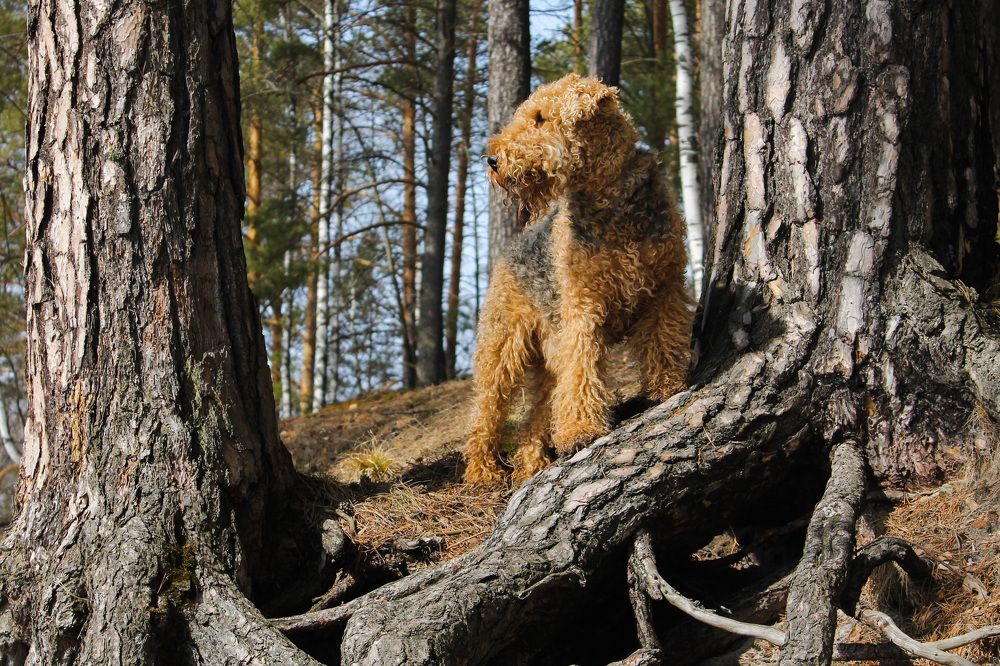 Photograph by Матвей Короткин