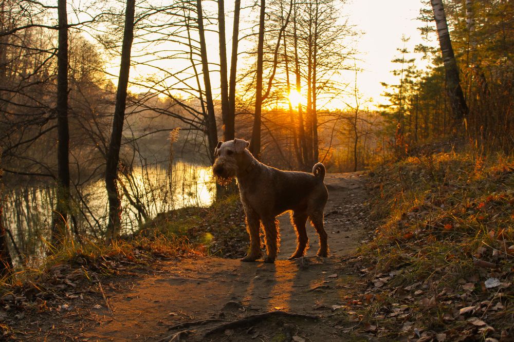 Photograph by Матвей Короткин