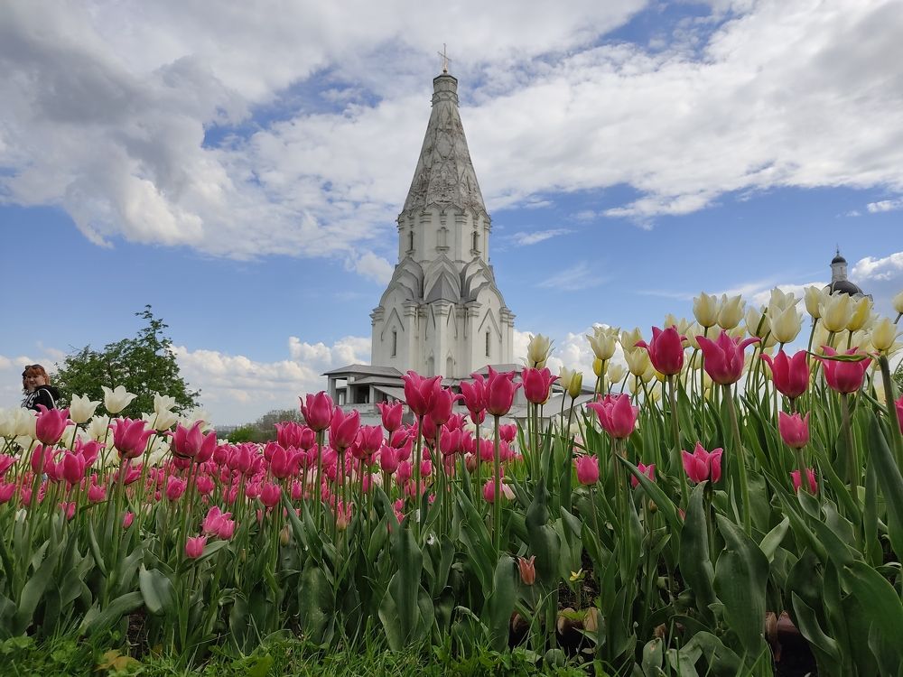 Photograph by Александр Ермаченко