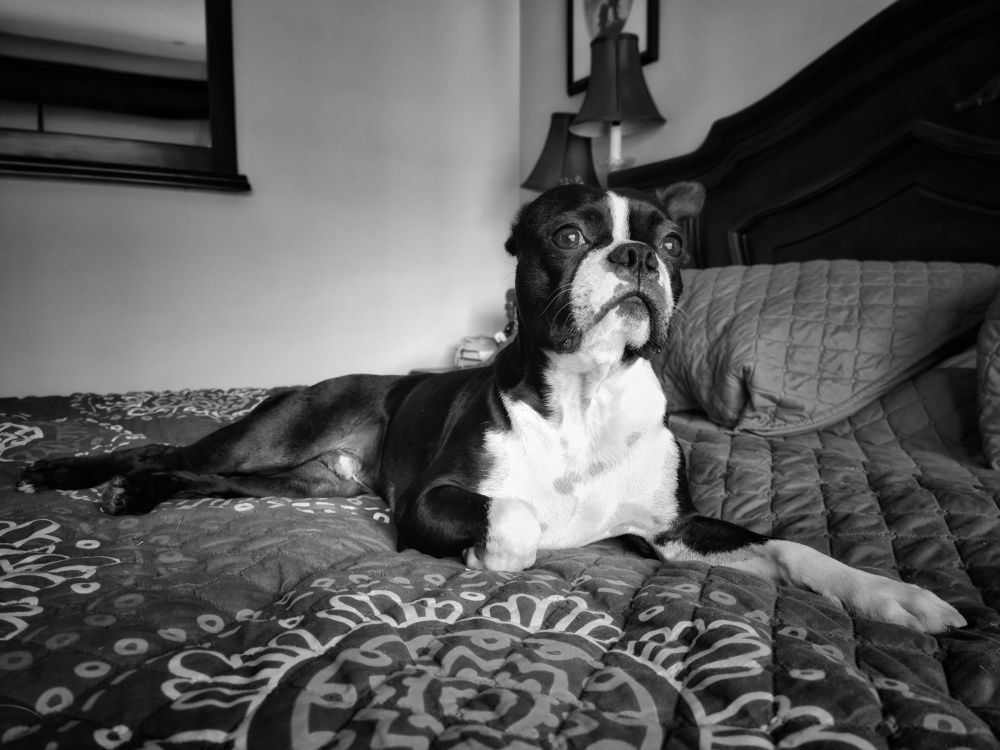 Photograph by Mauricio Mora Flores