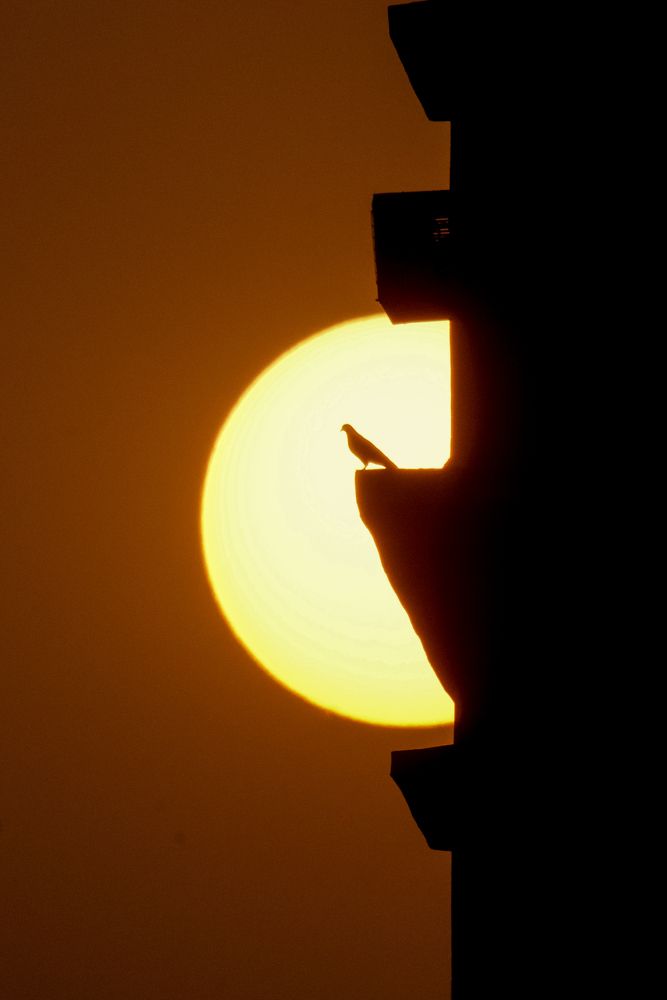 Photograph by Samrat Banerjee