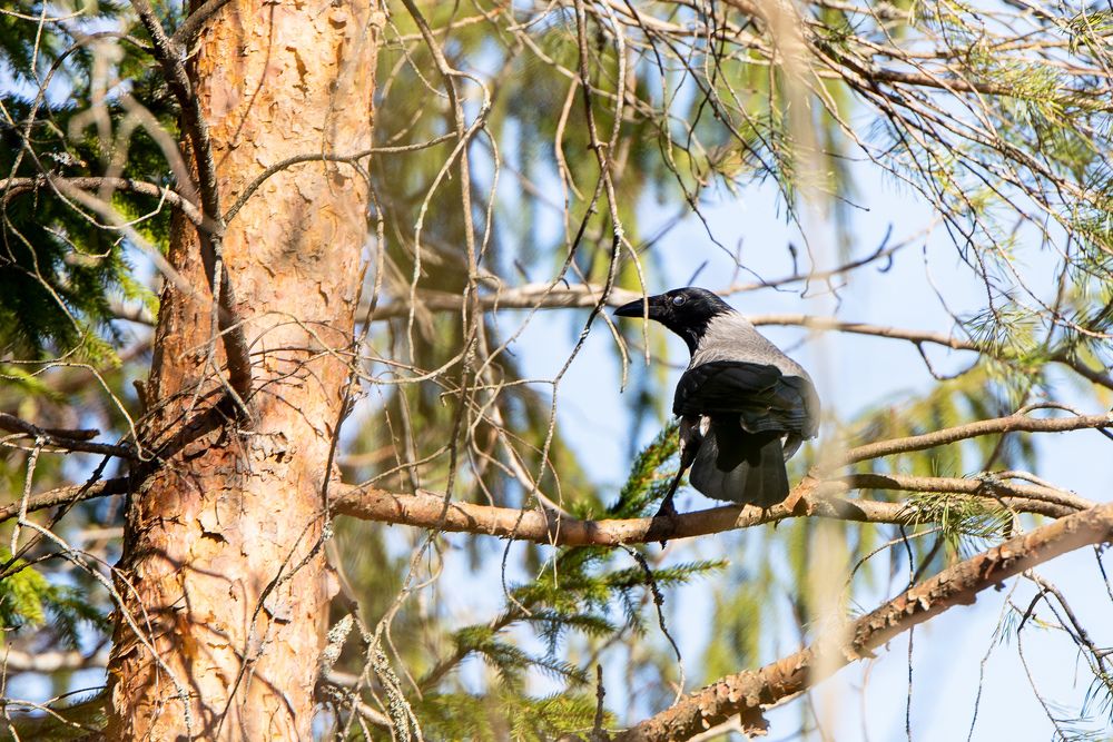 Photograph by Илья Юфа