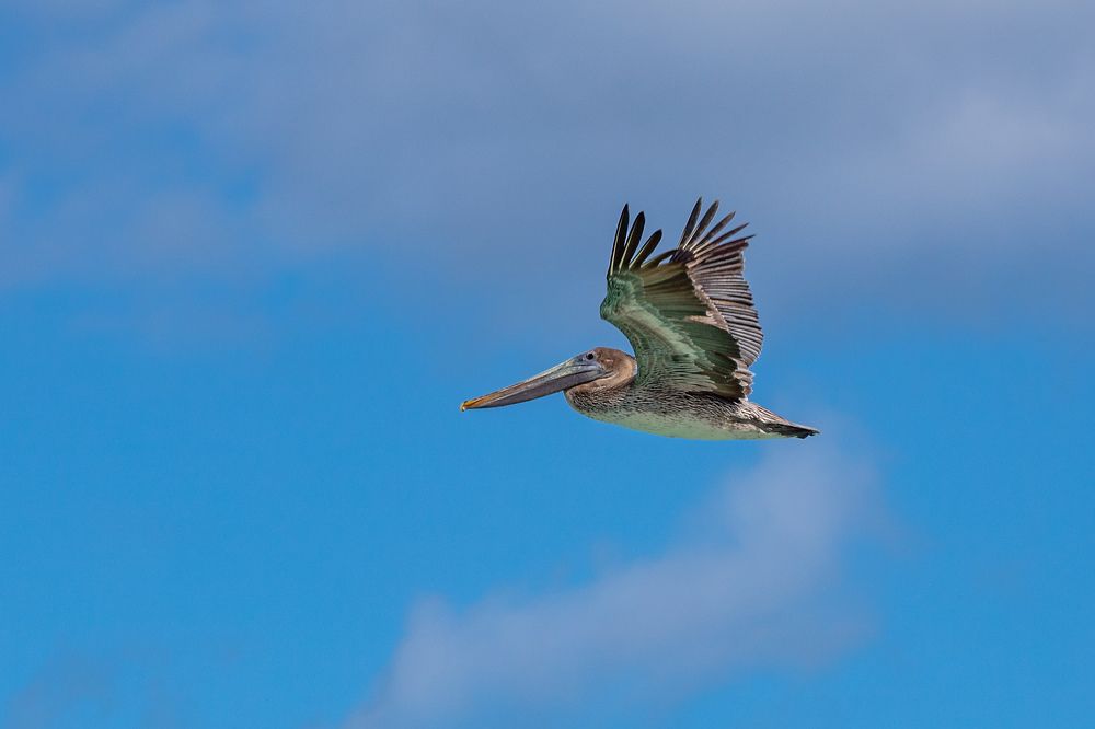 Photograph by Илья Юфа