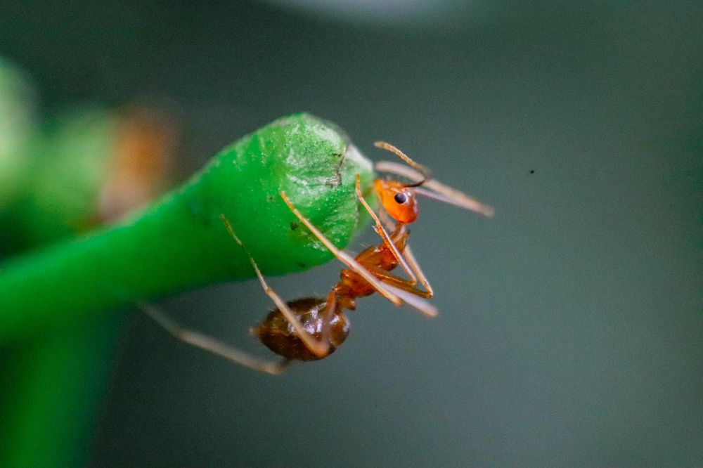 Photograph by Hemsith Meepage