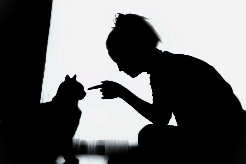 Photograph by Olga Asson