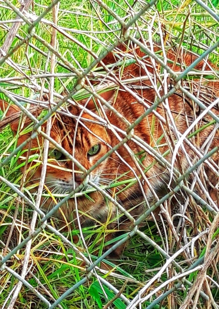 Photograph by Наталья Пусулиди