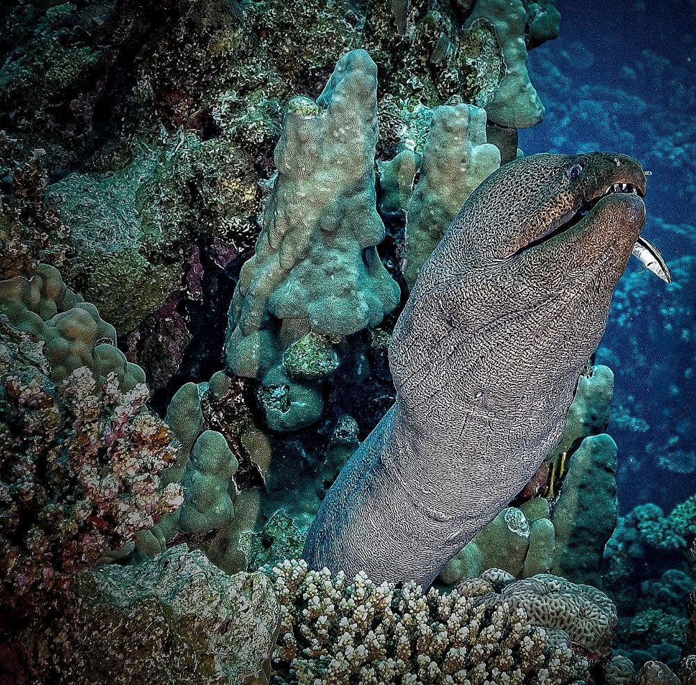 Photograph by Плотников Дмитрий