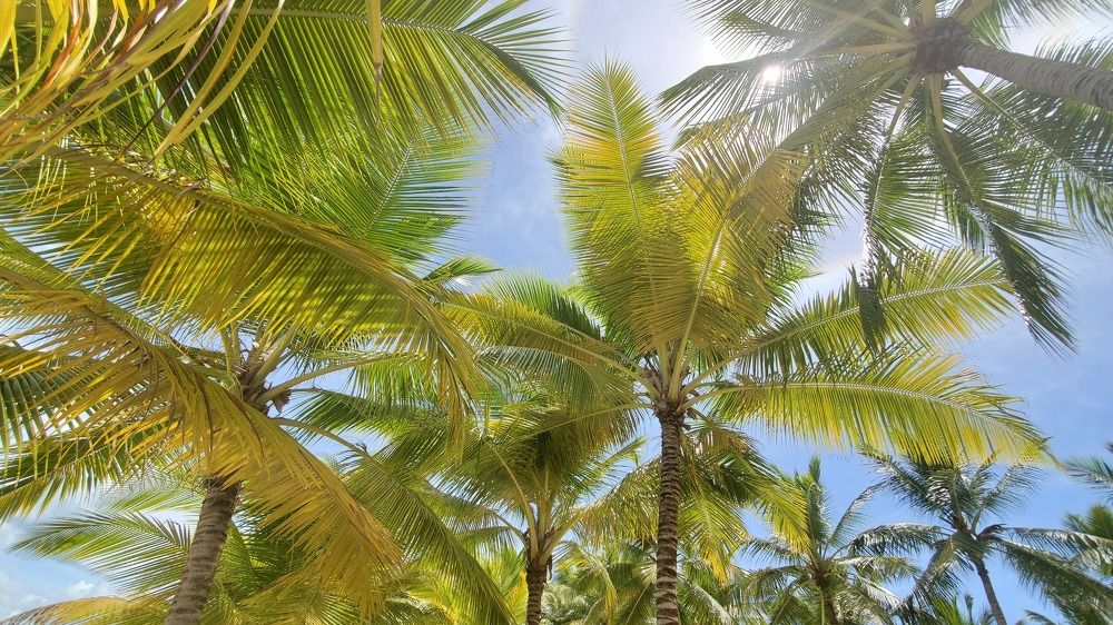 Photograph by Gulnaz Sabirova