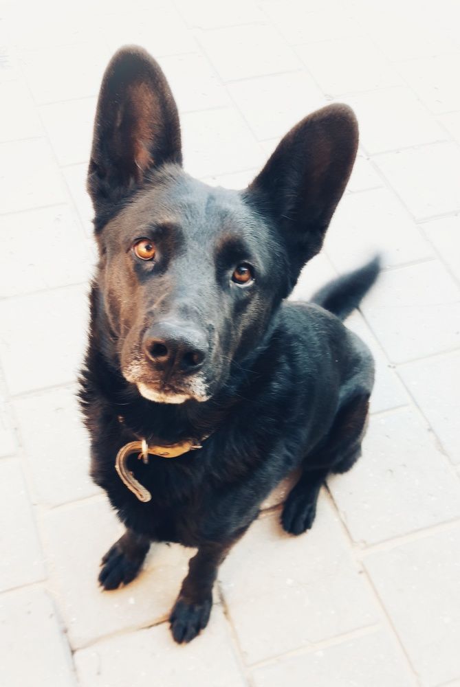 Photograph by Наталья Пусулиди