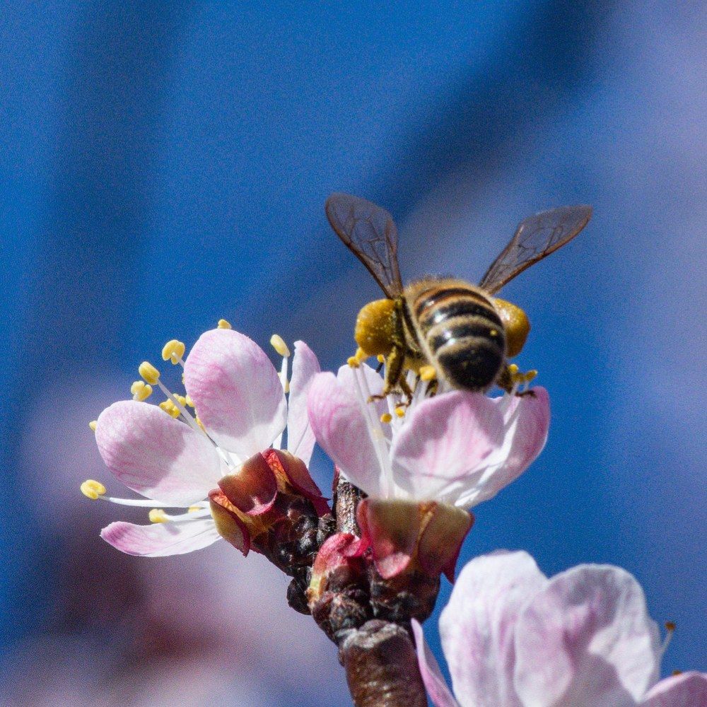 Photograph by Олег Рымаренко
