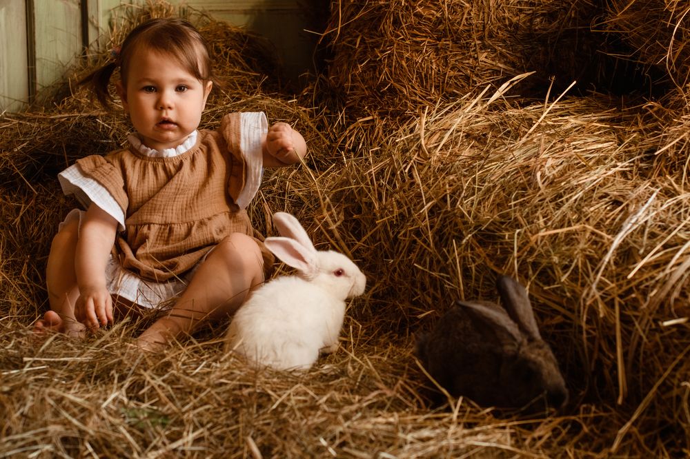 Photograph by Шепот Алена