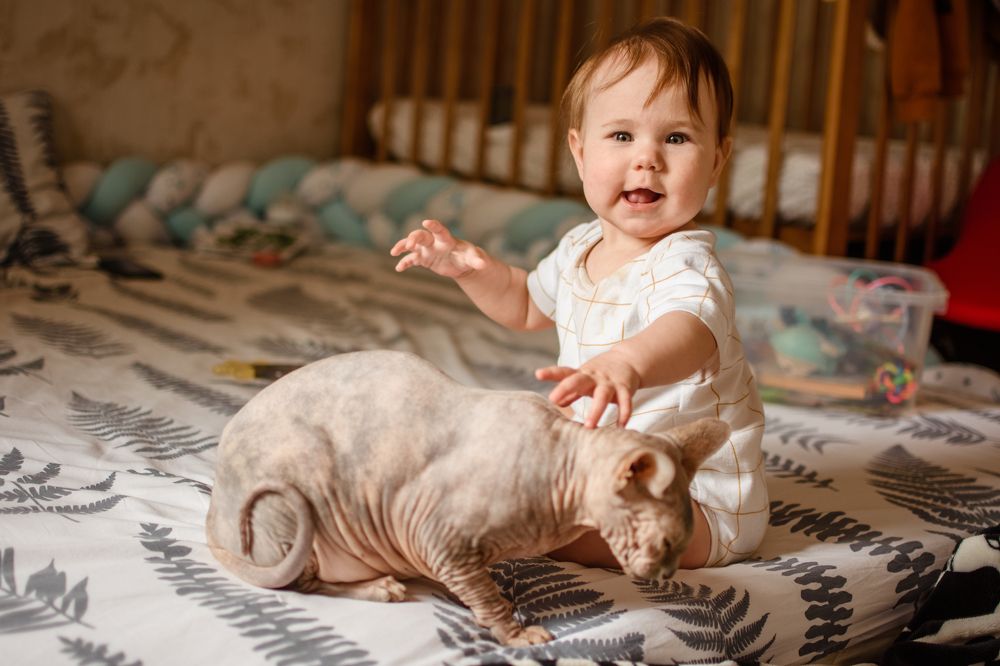 Photograph by Шепот Алена