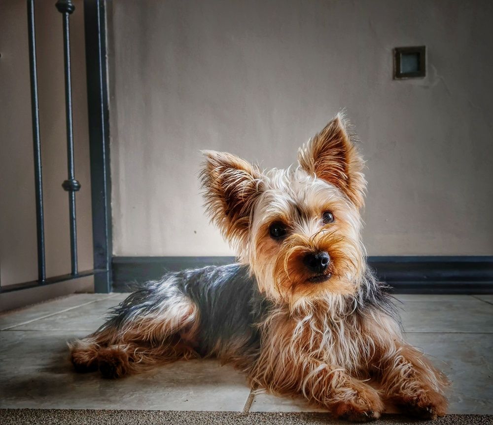 Photograph by Mauricio Mora Flores