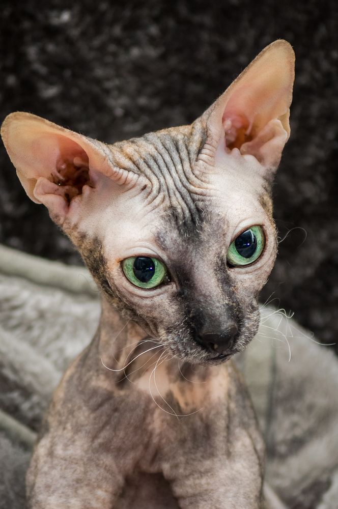 Photograph by Юрий Яковлевич