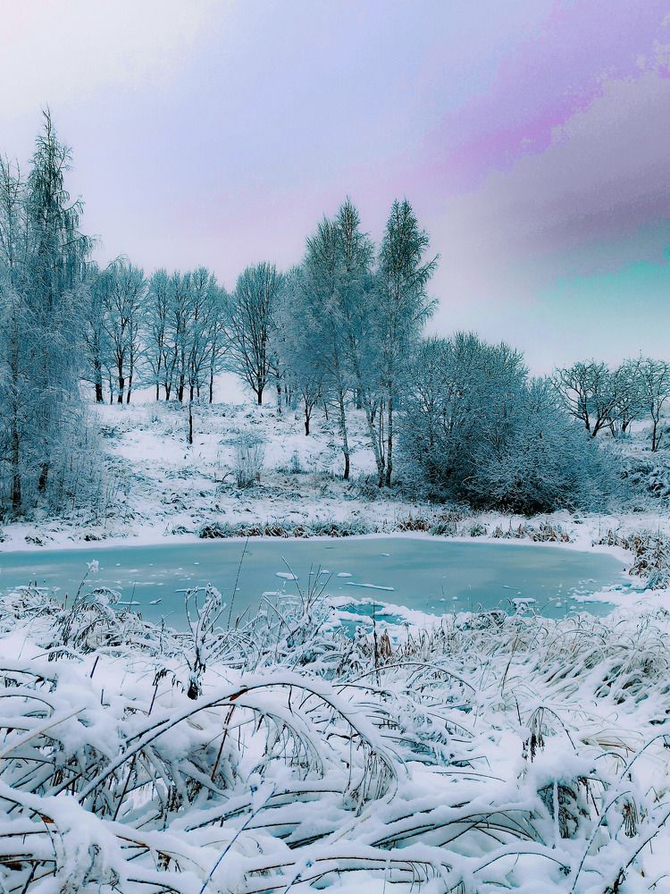 Photograph by Стефанова Татьяна