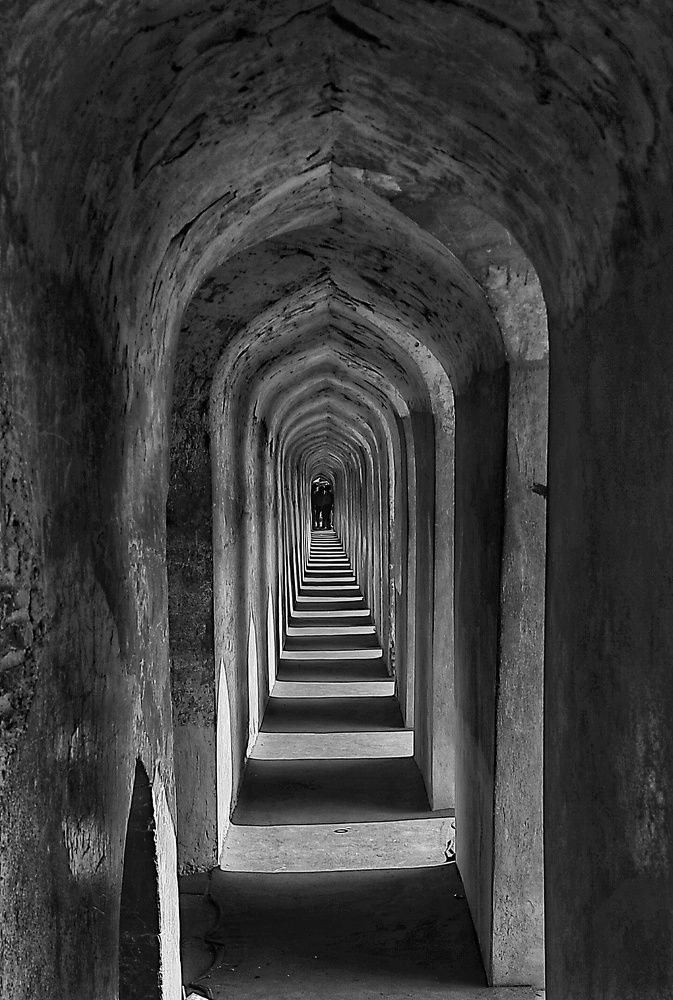 Photograph by Tapashya Pihwal