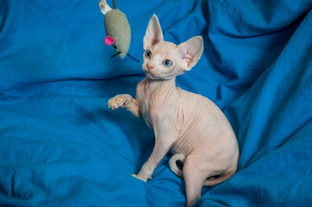 Photograph by Юрий Яковлевич