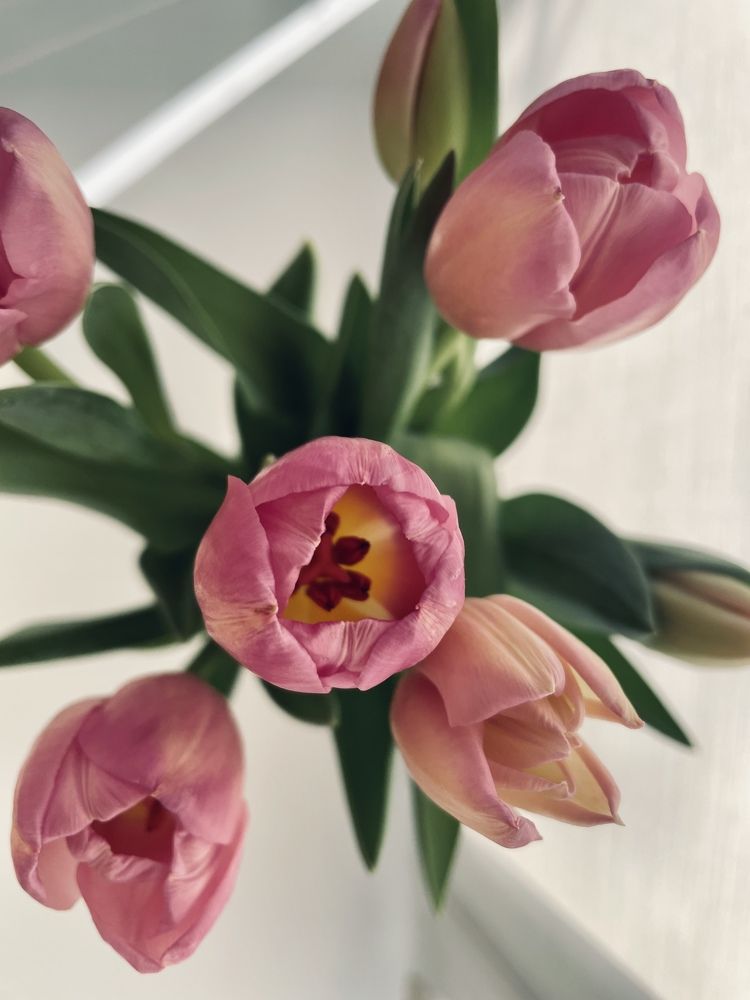 Photograph by Виктория Шамурина