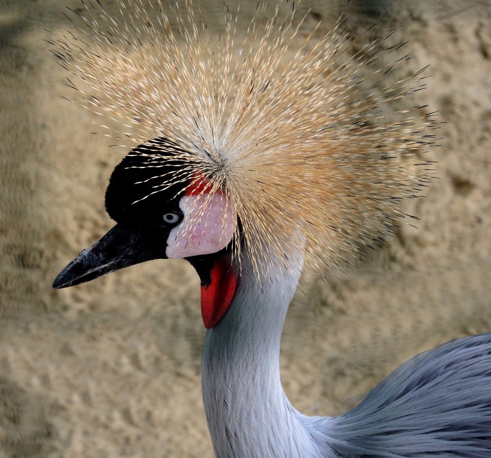 Photograph by София Гавриловна Вотякова