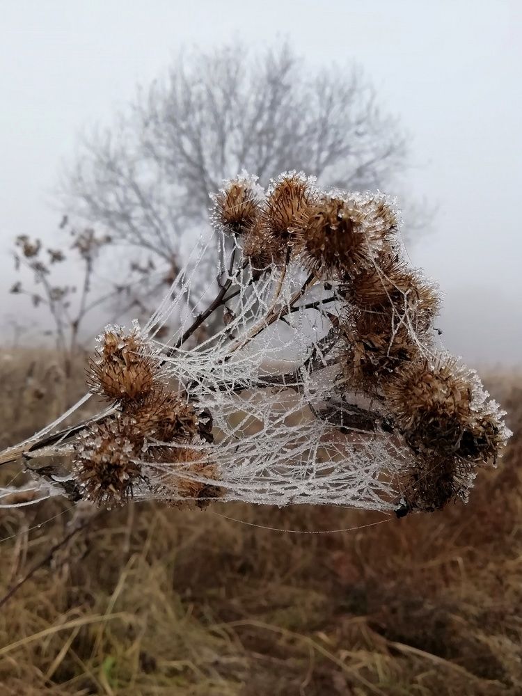 Photograph by Екатерина Чижевская