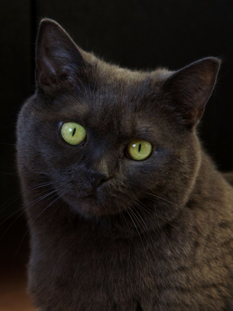 Photograph by Екатерина Чижевская