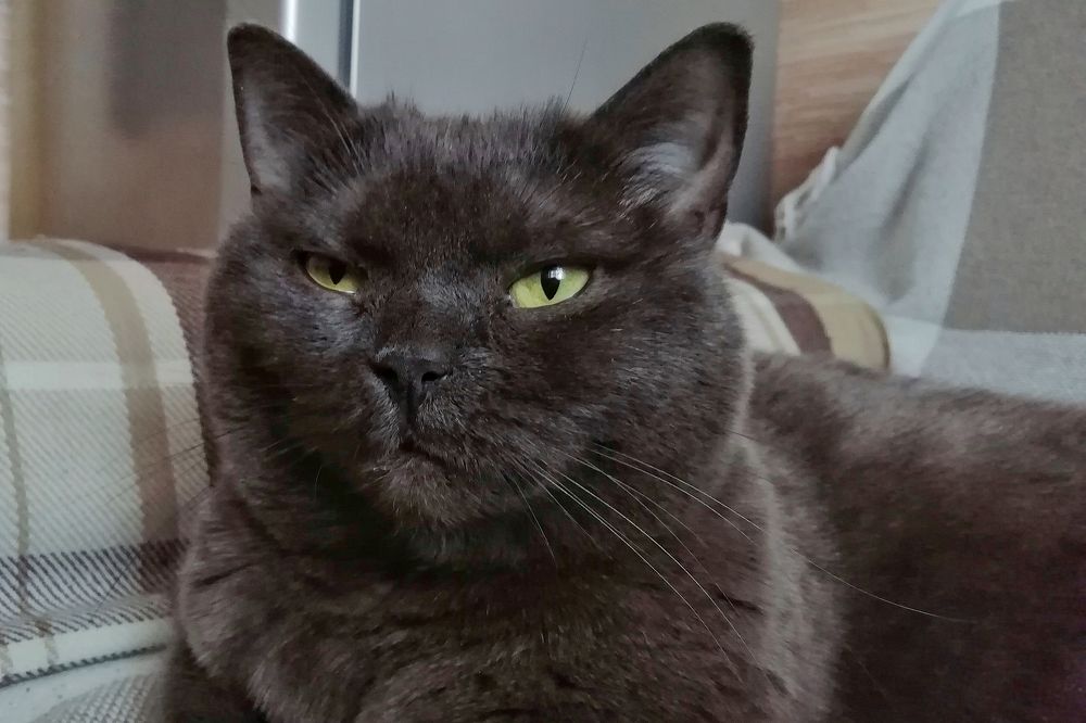 Photograph by Екатерина Чижевская