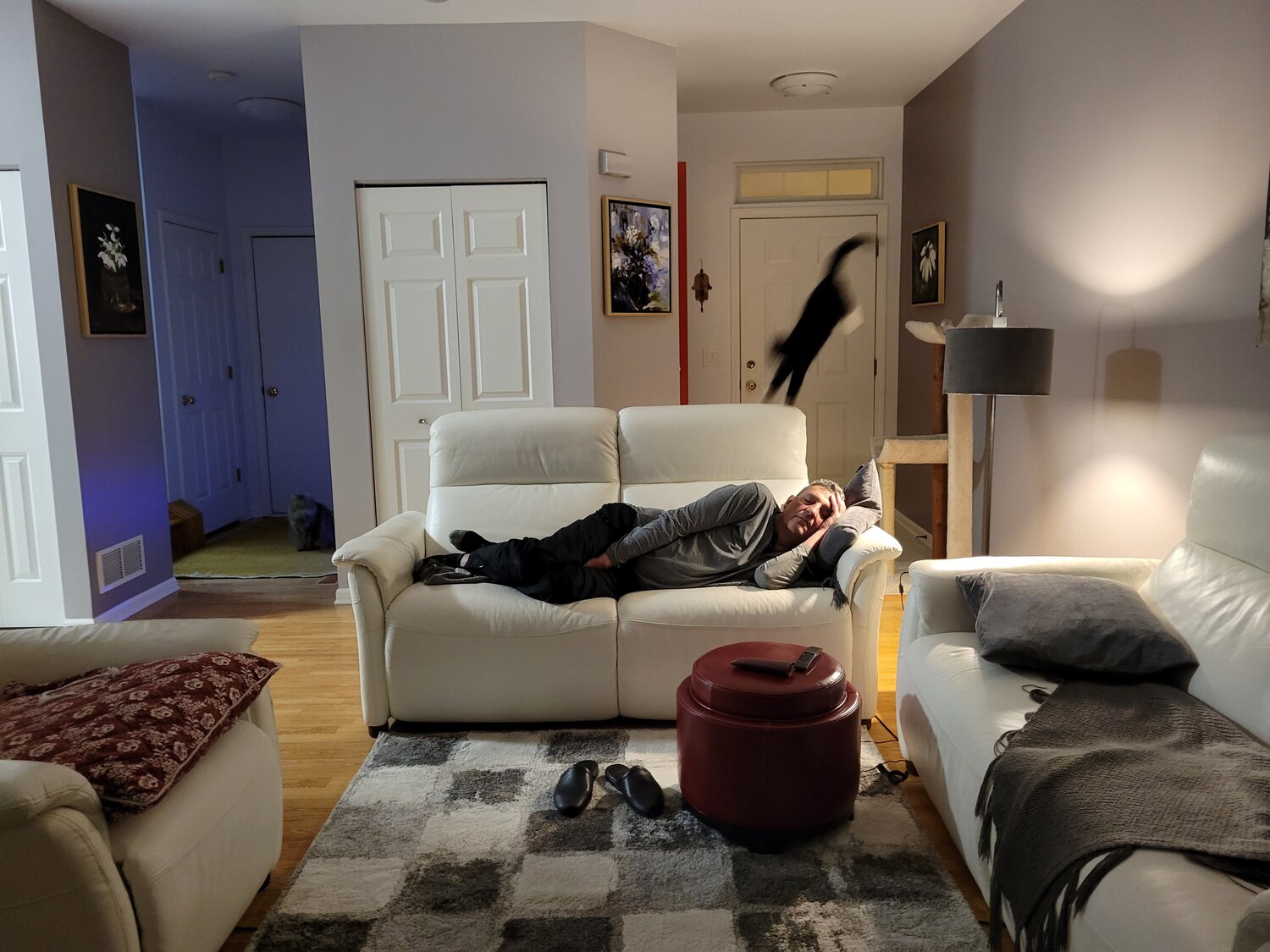Photo #7531214