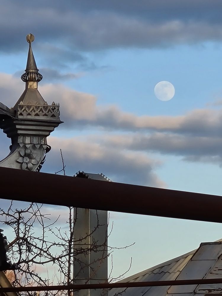 Photograph by Елена Квасова