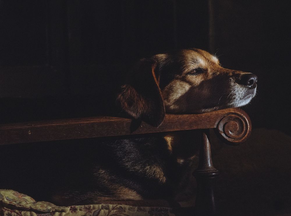 Photograph by Запылаева Анна