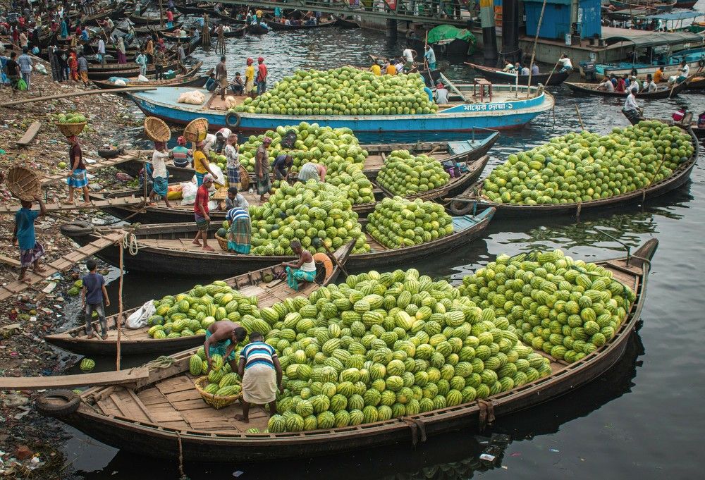 Photograph by Tanvir Ahmed Bhuiyan