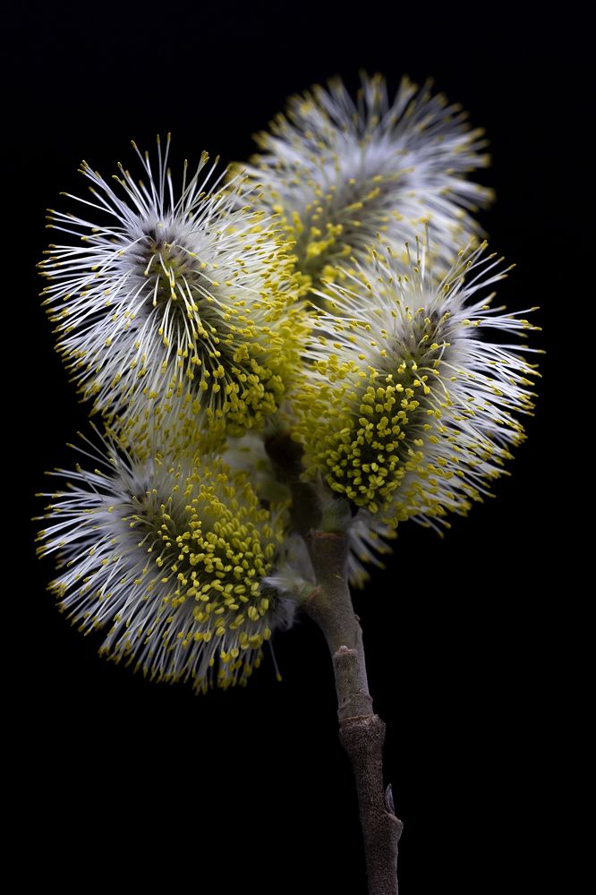 Photograph by Олег Тетерин