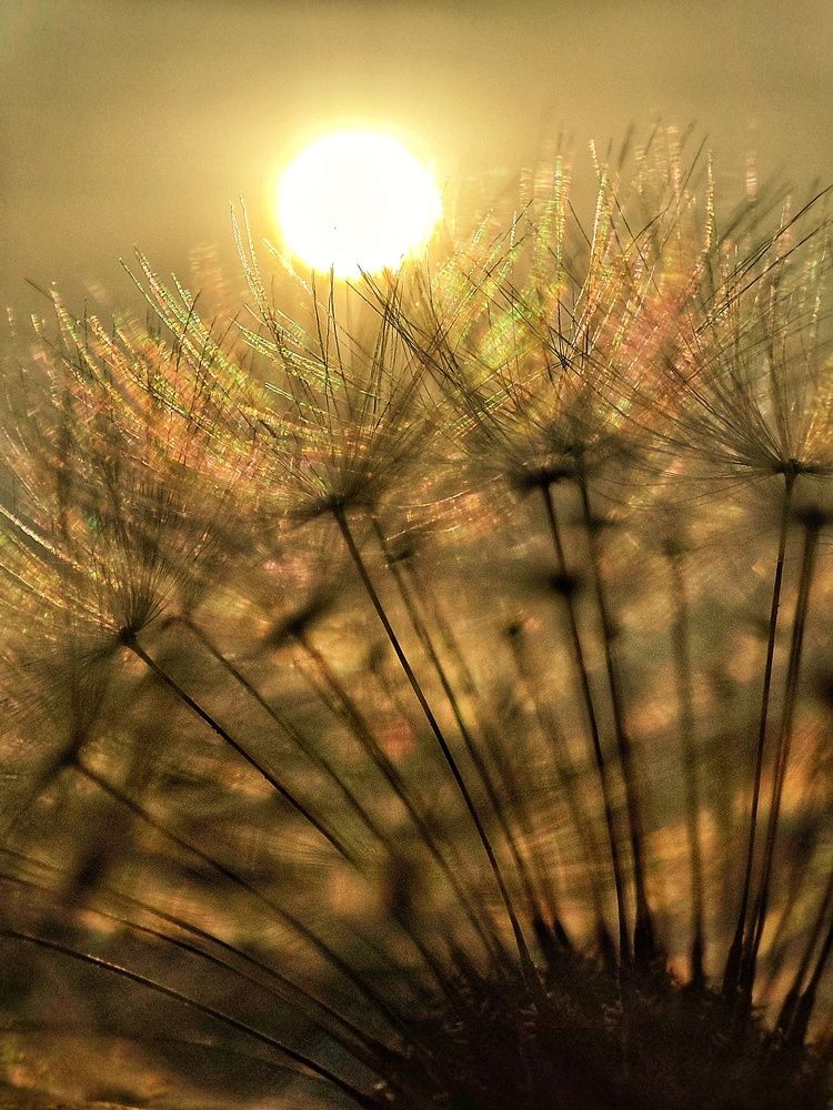 Photograph by Валентина Куцерук