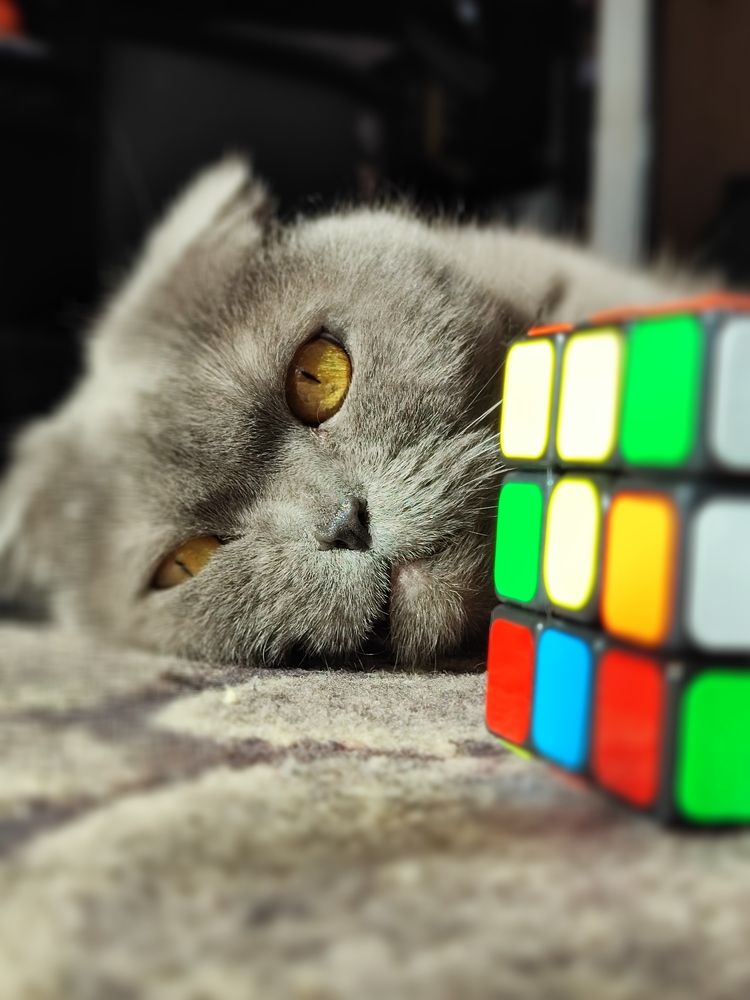 Photograph by Валентина Куцерук