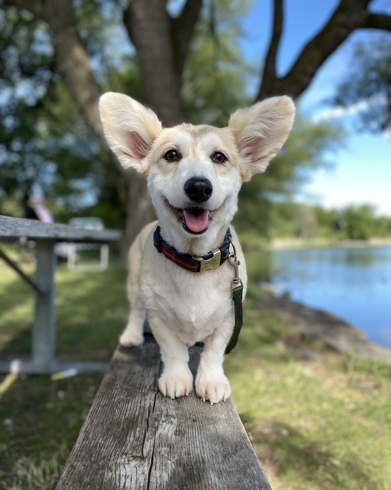 Photograph by A Mook