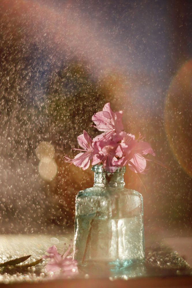 Photograph by Ольга Копылова