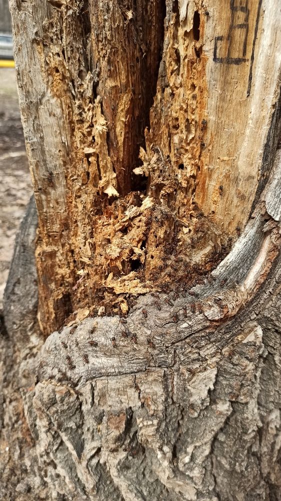 Photograph by Нина Аристова