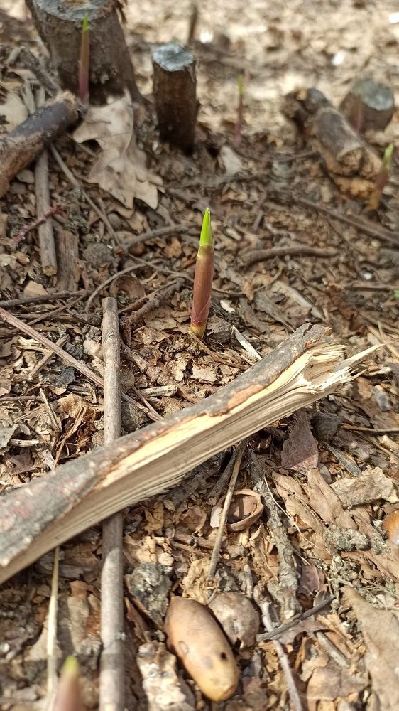 Photograph by Нина Аристова