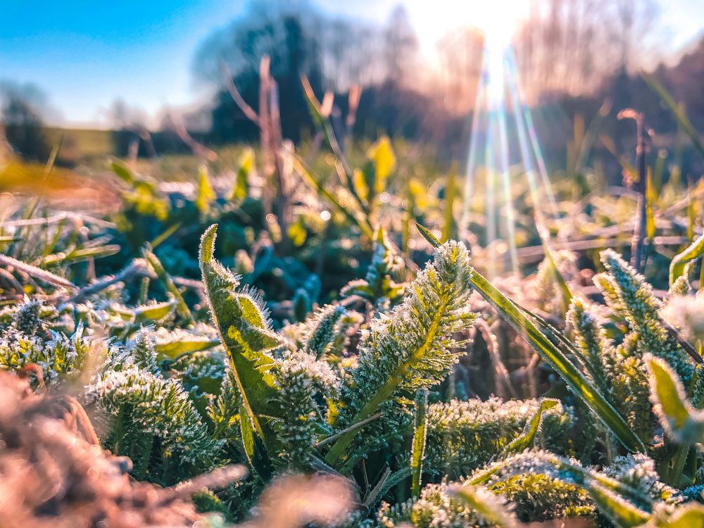 Photograph by Светлана Гринкевич