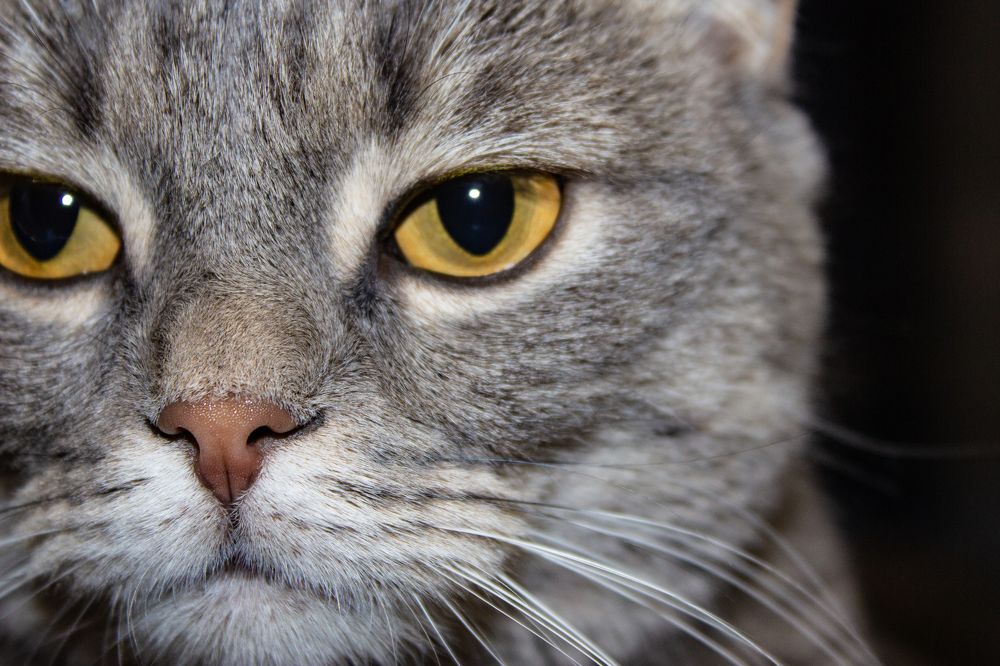 Photograph by Марина Мададова