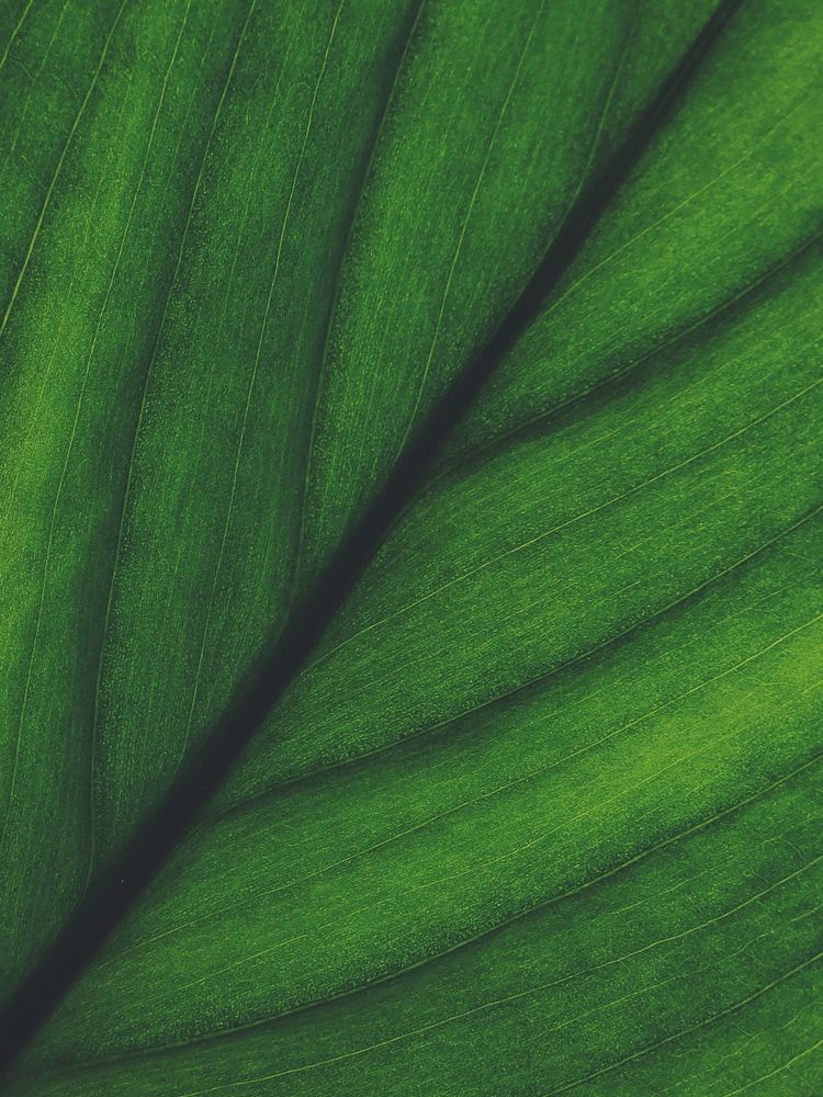 Photograph by Оксана Сабылина