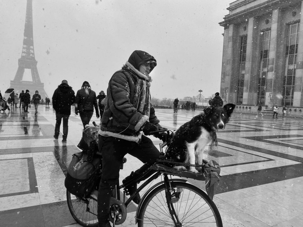 Photograph by Mehdi Rouhbakhsh