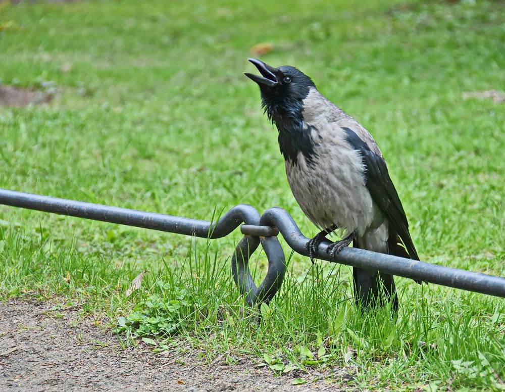 Photograph by Лидия Ушакова