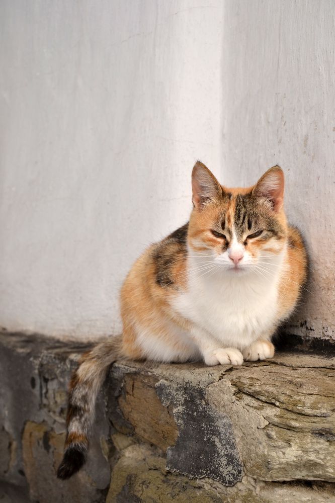 Photograph by Галя Кочубей