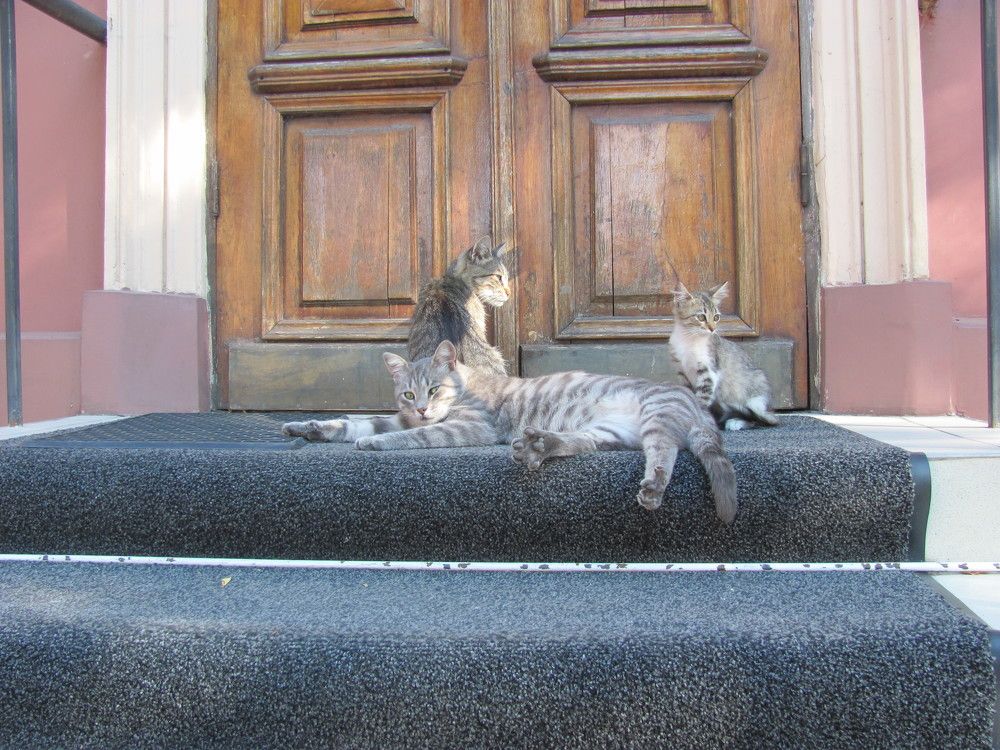 Photograph by Галя Кочубей