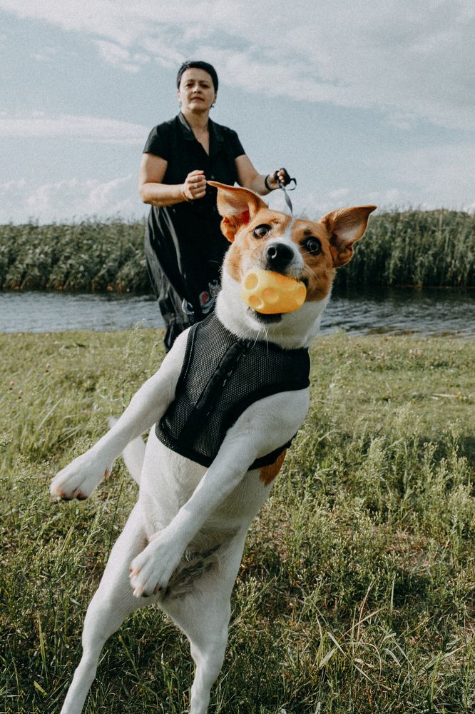 Photograph by Анна Дубина