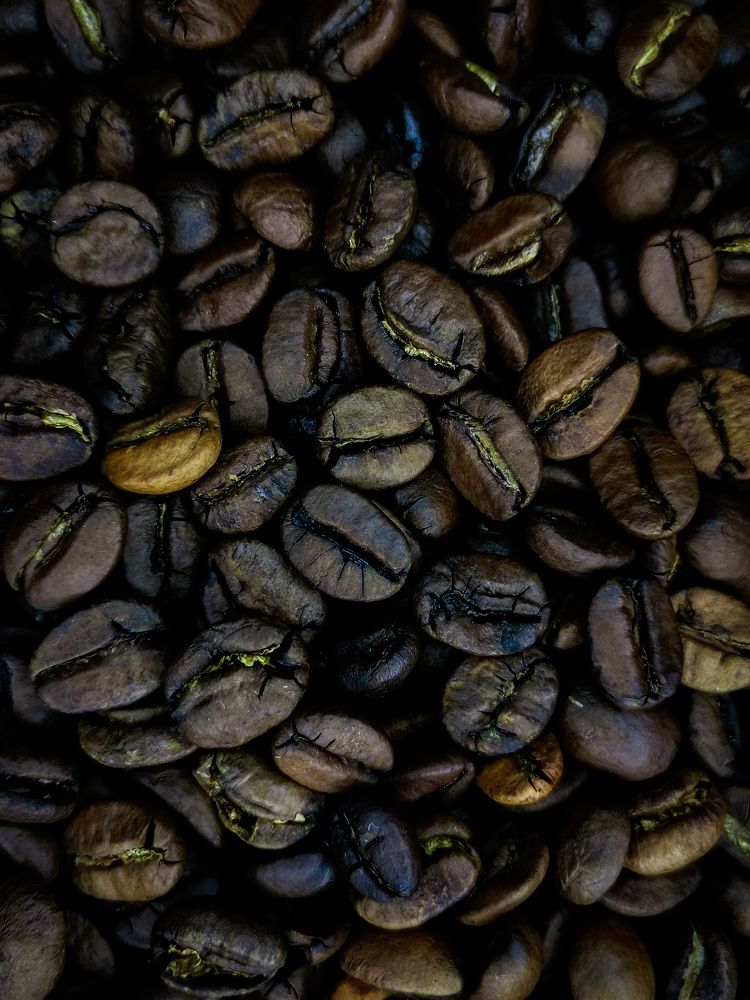 Photograph by Тамара Аржанова