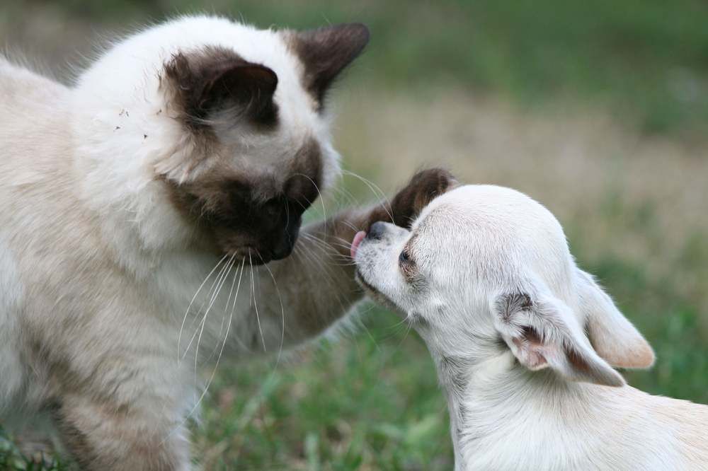 Фотография автора Irina